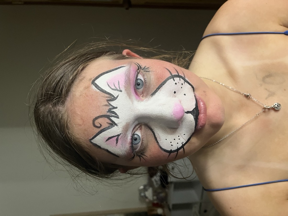 Cat face paint design with whiskers